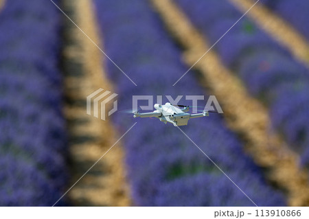 Drone flying over lavender field, Valensole, Provence Drone flying over lavender field, Valensole, Provence 113910866
