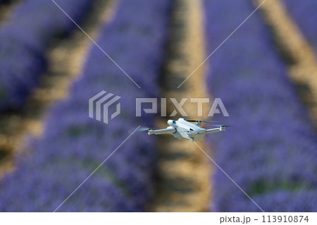 Drone flying over lavender field, Valensole, Provence Drone flying over lavender field, Valensole, Provence 113910874