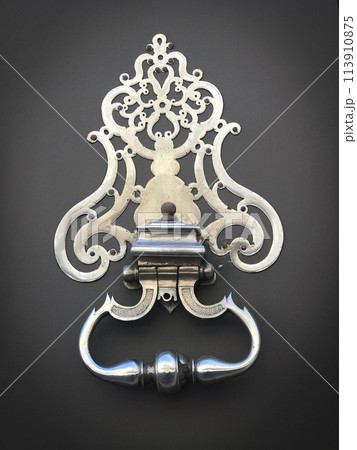 Door and knocker of a stylish French mansion 113910875