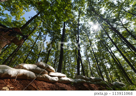 An elite soldier adeptly clears military barriers in the perilous wooded terrain, showcasing tactical skill and agility during specialized training An elite soldier adeptly clears military barriers in the perilous wooded terrain, showcasing tactical skill and agility during specialized training 113911068