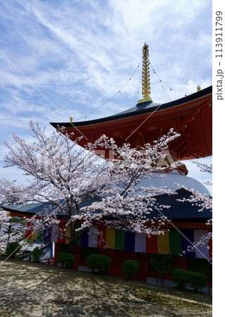 宝塚市の中山寺の大願塔と桜 113911799