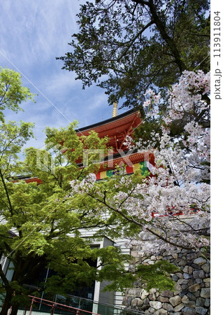 宝塚市の中山寺の大願塔と桜 宝塚市の中山寺の大願塔と桜 113911804