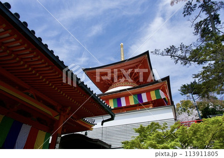 宝塚市の中山寺の大願塔と桜 宝塚市の中山寺の大願塔と桜 113911805