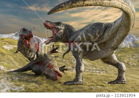 2匹のティラノサウルスが敵を倒すのイラスト素材 [113911954 2匹のティラノサウルスが敵を倒すのイラスト素材 [113911954