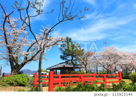 【福井県】晴天の小浜公園と満開の桜 【福井県】晴天の小浜公園と満開の桜 113913144