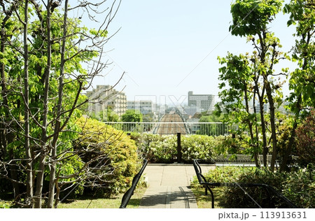 成城コルティの屋上庭園 113913631