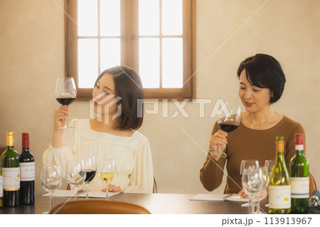 ワインで乾杯する女性 113913967