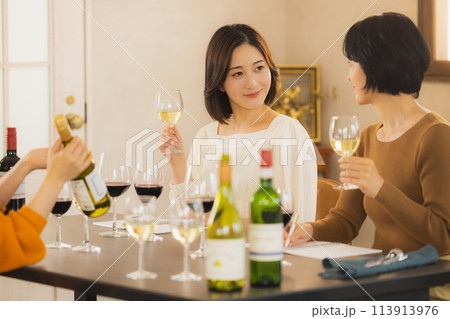 ワインで乾杯する女性 ワインで乾杯する女性 113913976