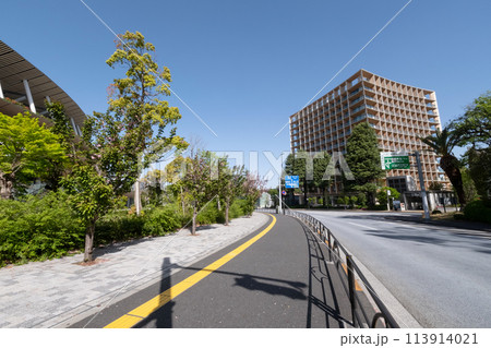 桜と国立競技場の風景 113914021