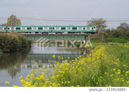 春の宇都宮線　古利根川橋梁にて 113914065