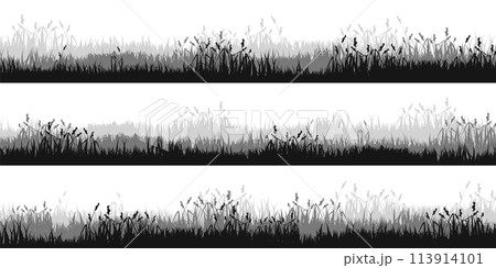 Meadow silhouettes with grass, plants on plain. Panoramic summer lawn landscape with herbs, various weeds. Herbal border, frame. Nature background. Black horizontal banner. Vector illustration 113914101