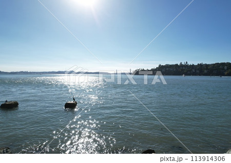 San Francisco bay from shore line trail in Belveder and Tiburon California San Francisco bay from shore line trail in Belveder and Tiburon California 113914306