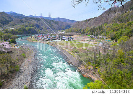 利根川 サクラ咲く季節と新緑の風景 棚下不動付近の眺め 利根川 サクラ咲く季節と新緑の風景 棚下不動付近の眺め 113914318