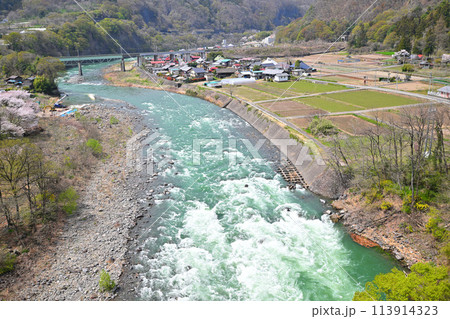 利根川 サクラ咲く季節と新緑の風景 棚下不動付近の眺め 利根川 サクラ咲く季節と新緑の風景 棚下不動付近の眺め 113914323