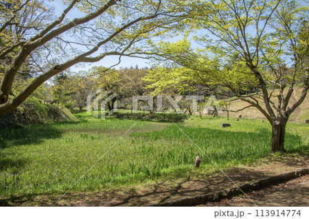 こども自然公園 神奈川県横浜市旭区 こども自然公園 神奈川県横浜市旭区 113914774