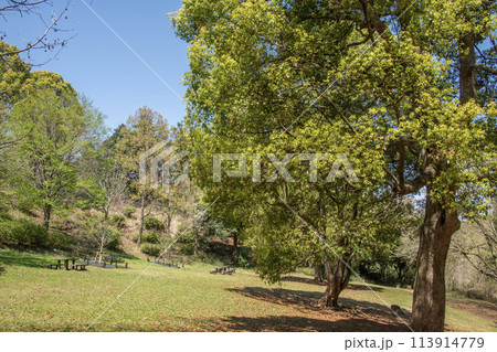 こども自然公園 神奈川県横浜市旭区 こども自然公園 神奈川県横浜市旭区 113914779