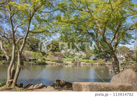 こども自然公園 神奈川県横浜市旭区 こども自然公園 神奈川県横浜市旭区 113914782