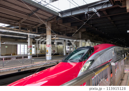 大宮駅 新幹線E6系電車 秋田新幹線こまち 大宮駅 新幹線E6系電車 秋田新幹線こまち 113915128