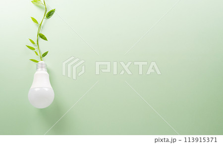 Green eco friendly concept made from light bulb and fresh leaves. Energy saving, ecology, earth day and environment sustainable resources conservation concept. Green eco friendly concept made from light bulb and fresh leaves. Energy saving, ecology, earth day and environment sustainable resources conservation concept. 113915371