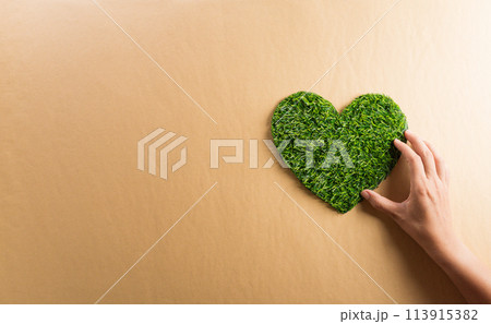 Hands holding green heart on brown background. World environment day, earth day and save earth concept. 113915382