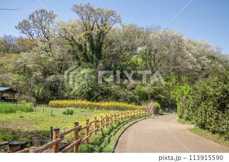 舞岡公園　神奈川県横浜市戸塚区 113915590
