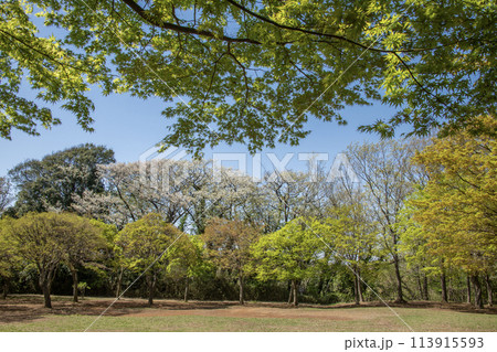 舞岡公園 神奈川県横浜市戸塚区 舞岡公園 神奈川県横浜市戸塚区 113915593