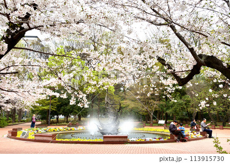 日比谷公園西幸門の池と満開のさくら 日比谷公園西幸門の池と満開のさくら 113915730