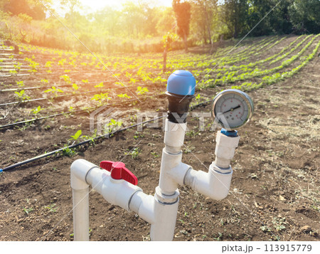 Irrigation water pipes system Irrigation water pipes system 113915779