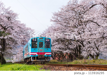桜のトンネルを走る樽見鉄道(ハイモ330-703) 桜のトンネルを走る樽見鉄道(ハイモ330-703) 113916295