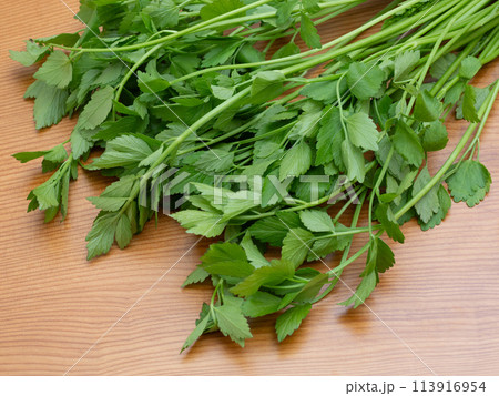 生のセリ 生のセリ 113916954