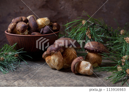 Imleria Badia or Boletus badius mushrooms commonly known as the bay bolete and clay bowl with mushrooms on vintage wooden background.. 113916983