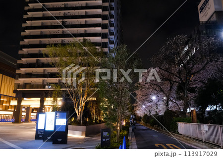 カメイドクロック　開業前　亀戸　2022年3月 113917029