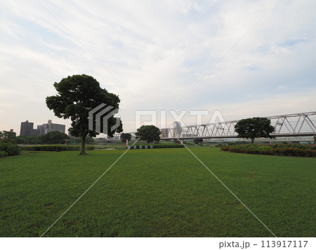 小岩菖蒲園　早朝　2023年6月 113917117