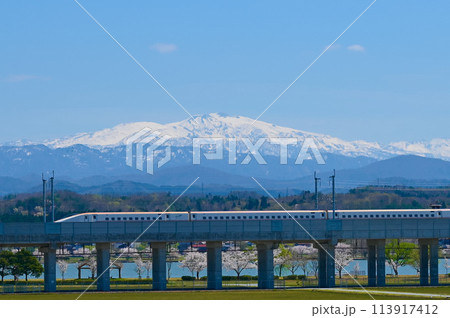 名峰白山と木場潟の桜と北陸新幹線 小松市 名峰白山と木場潟の桜と北陸新幹線 小松市 113917412