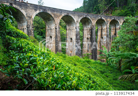 View of Nine Arch Bridge a very picturesque spot in Ella, Sri Lanka. Ella is a mountain town in the Central Highland of Sri Lanka surrounded by the beautiful greens of tea plantation field. View of Nine Arch Bridge a very picturesque spot in Ella, Sri Lanka. Ella is a mountain town in the Central Highland of Sri Lanka surrounded by the beautiful greens of tea plantation field. 113917434
