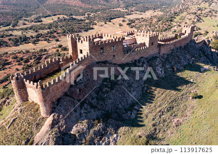 Bird's eye view of Castle of Riba de Santiuste Bird's eye view of Castle of Riba de Santiuste 113917625