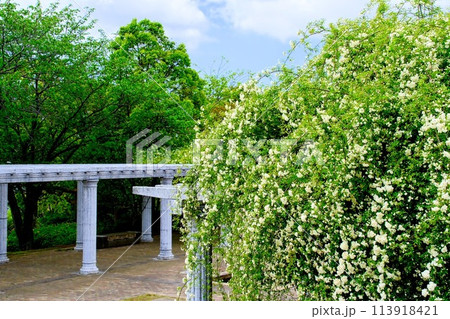名古山霊園 113918421