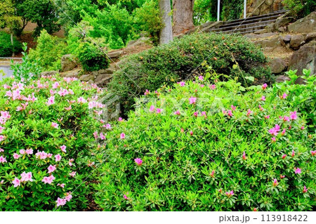 名古山霊園 名古山霊園 113918422