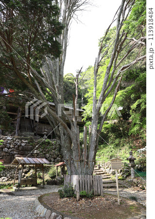 日龍峯寺 にちりゅうぶじ 高澤観音 岐阜県最古の寺 日龍峯寺 にちりゅうぶじ 高澤観音 岐阜県最古の寺 113918484