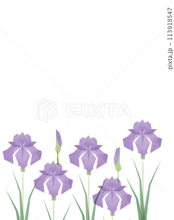 水彩テイストの菖蒲の花のフレーム 水彩テイストの菖蒲の花のフレーム 113918547