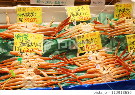 道の駅舞鶴港とれとれセンター 113918656