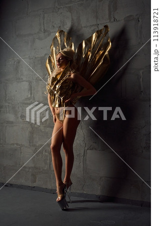 Provocative lady in carnival costume standing in studio 113918721