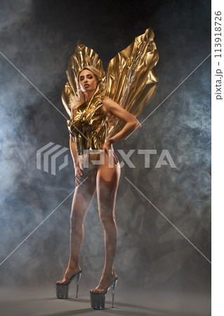 Sensual lady wearing golden carnival costume in studio Sensual lady wearing golden carnival costume in studio 113918726