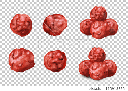 手繪水彩插畫的醃李子 手繪水彩插畫的醃李子 113918823