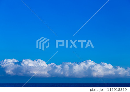 真夏の海と夏雲 113918839