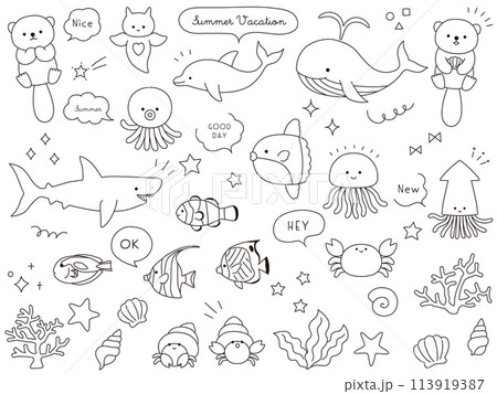 かわいい海の生き物のベクターイラストセット。海、水族館、線、線画 かわいい海の生き物のベクターイラストセット。海、水族館、線、線画 113919387