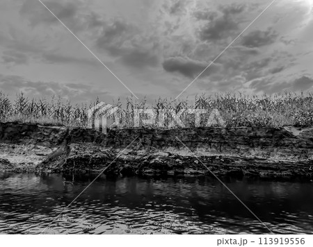 Bad farming practice of planting row crops to the edge of a waterway. 113919556