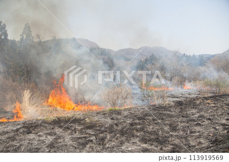 枯草火災 枯草火災 113919569