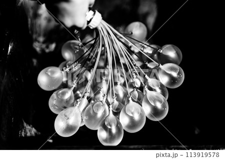 Rapid filling self sealing water balloons being inflated with a hose. Rapid filling self sealing water balloons being inflated with a hose. 113919578