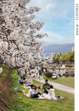 お花見の風景 113919624